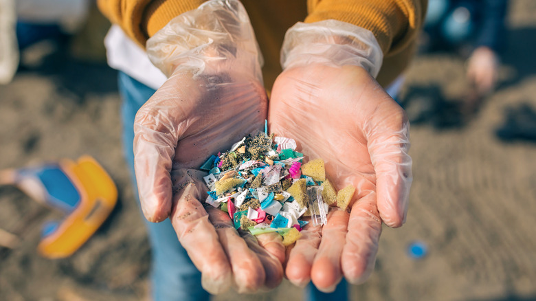 Gloved hands holding microplastics