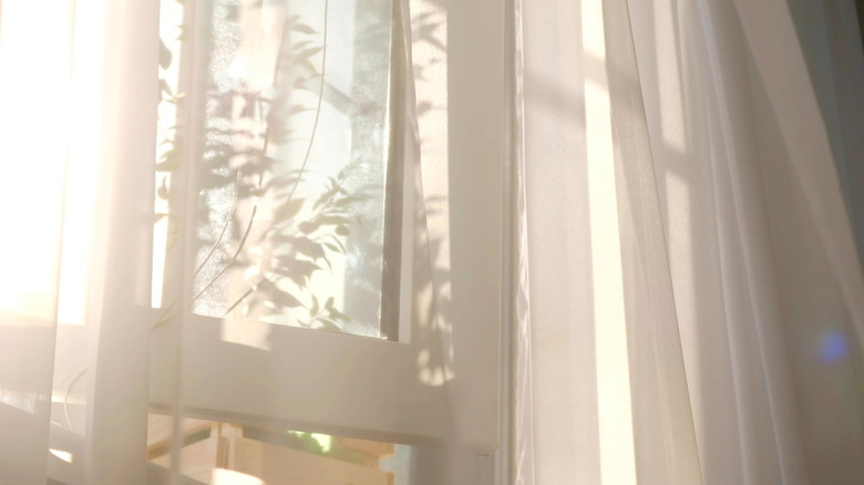 windows with light coming through