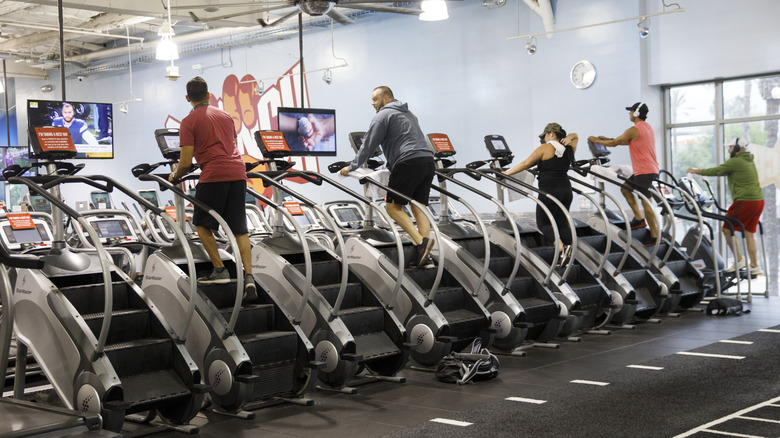 group of gym-goers on the line of StairMasters