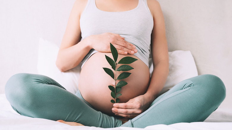 pregnant belly