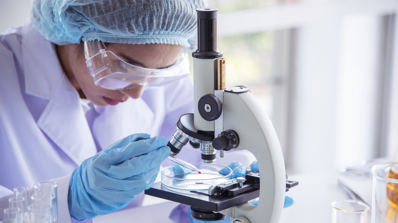 scientists looking at cells in a microscope