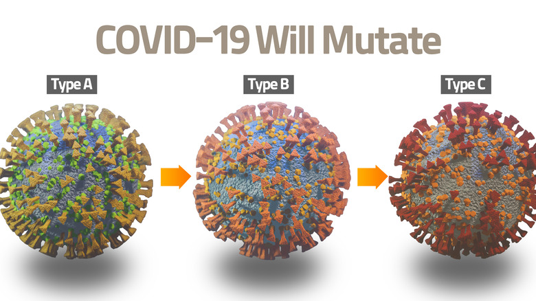 model of three covid-19 mutations