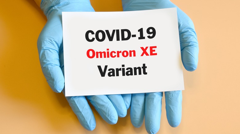 covid-19 omicron XE variant