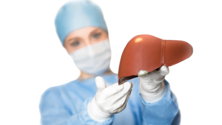 Doctor holding human liver