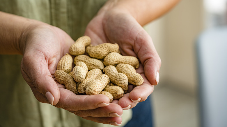 Hands holding a handful of peanuts