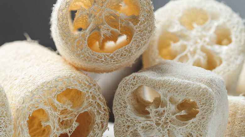 A stack of loofahs.