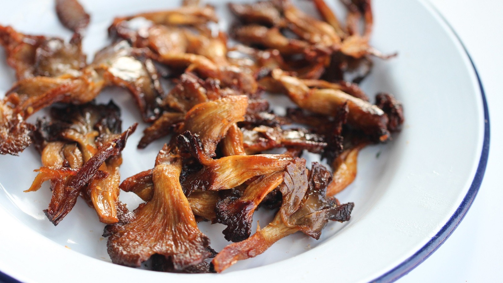 diy mushroom jerky