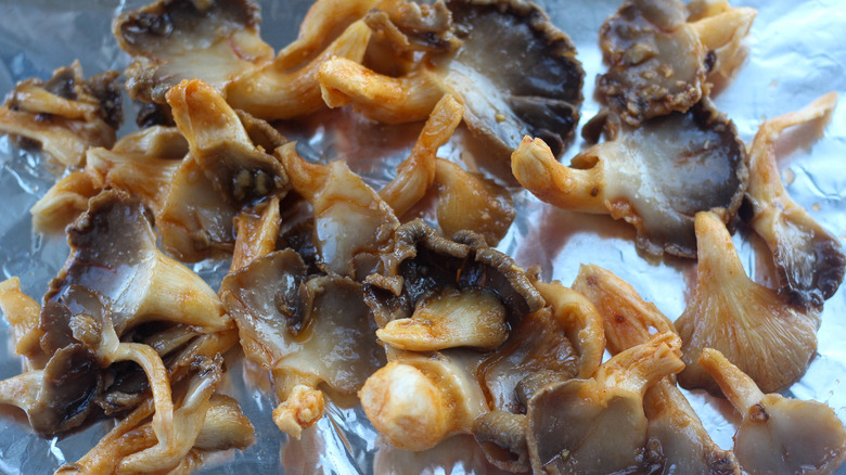 oyster mushrooms on baking tray