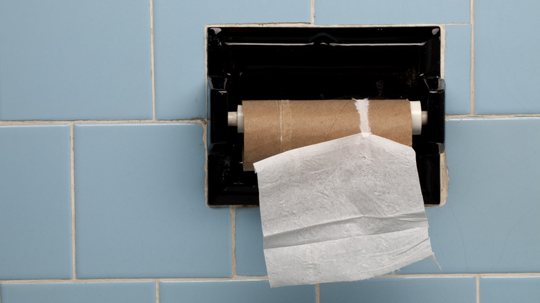 empty roll of toilet paper