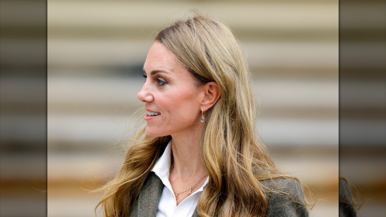 Catherine, Princess of Wales arriving for a visit to the Natural History Museum's newly renovated gardens