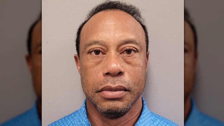 Tiger Woods photo taken after being charged with a DUI