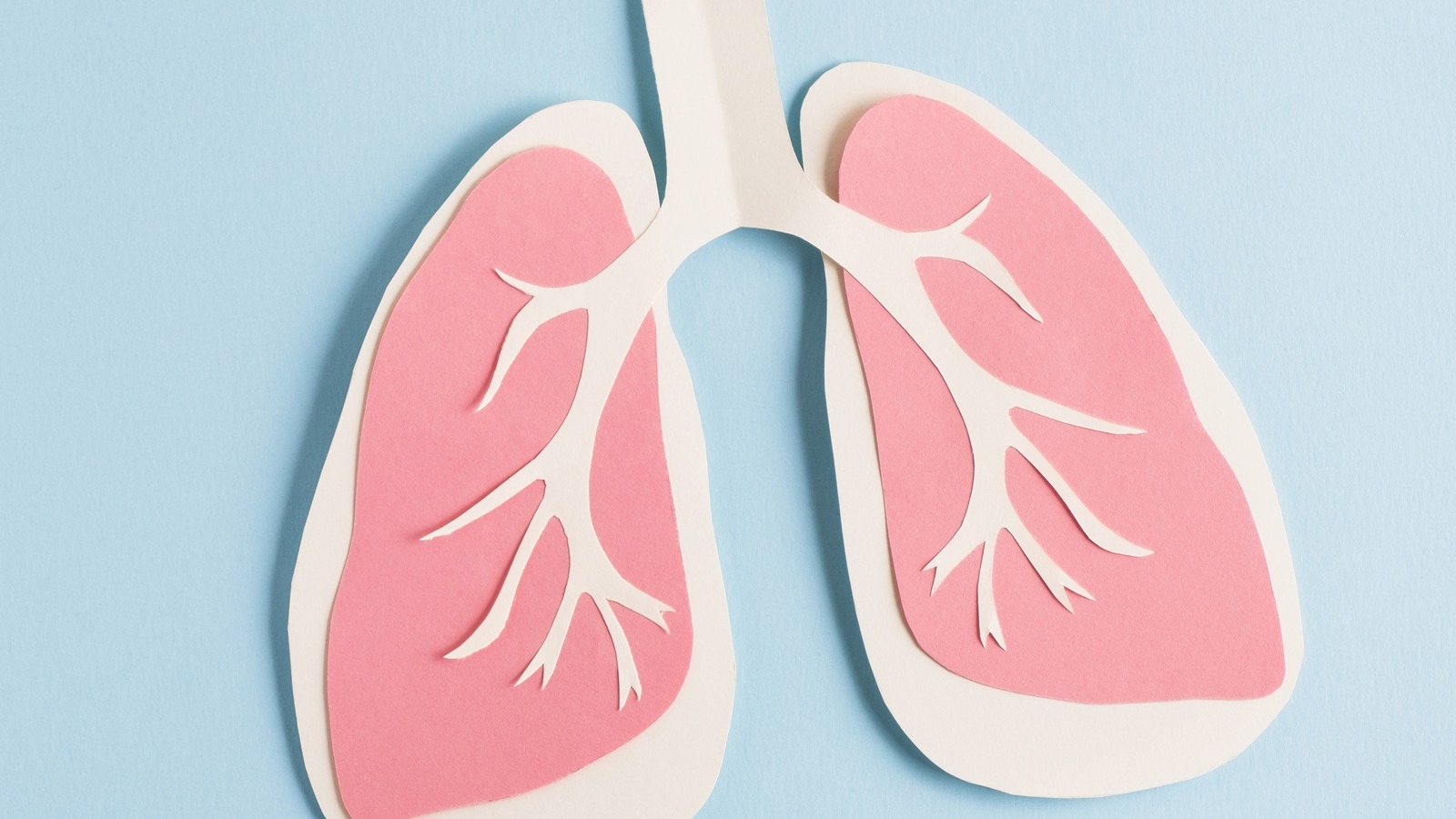 Pneumonia Explained: Causes, Symptoms, And Treatments Pneumonia Explained: Causes, Symptoms, And Treatments