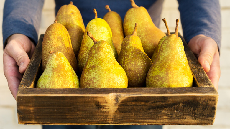 fresh pears in a wooden crate