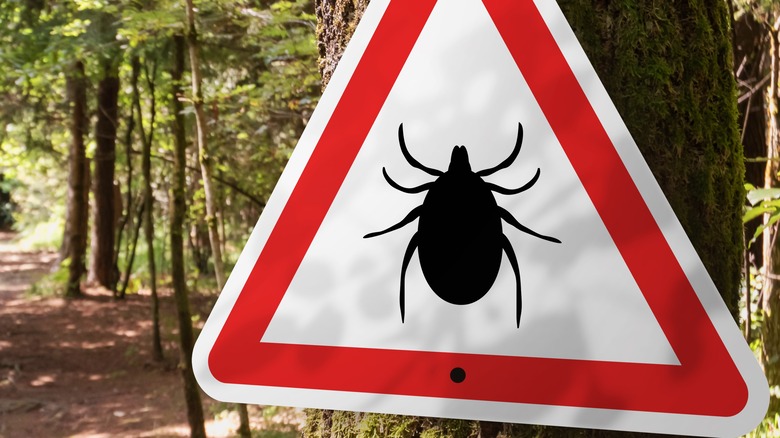  forest path with deer tick sign