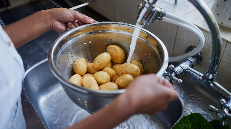 washing potatoes