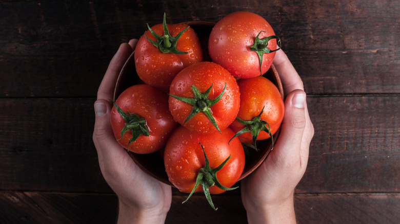 hands holding a bowl of washed tomatoes