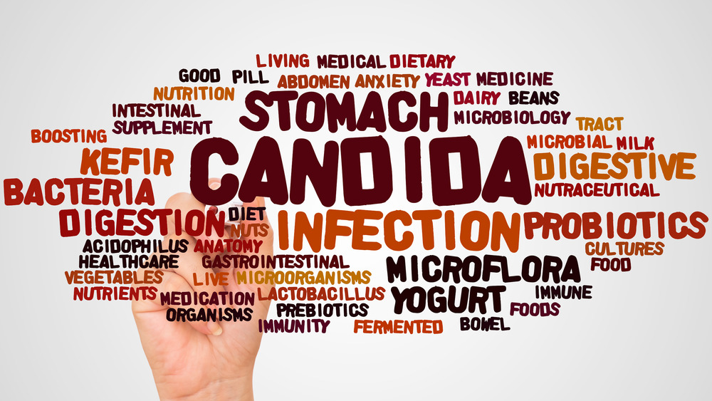 Candida word cloud with hand holding marker 