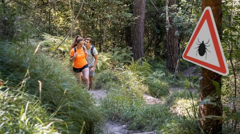 Hikers approaching tick warning sign