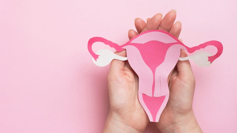 woman holding paper cut out of uterus