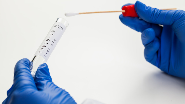 hands holding covid test kit