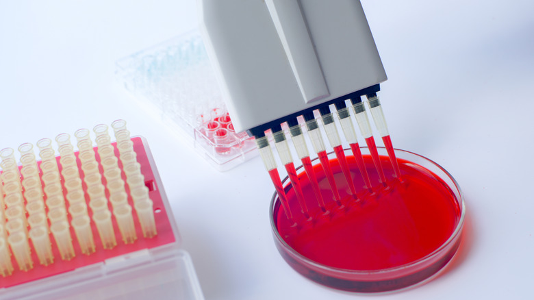 Scientific laboratory blood test with  test tubes