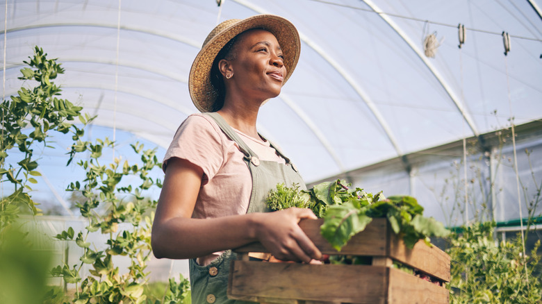 A smiling woman carrying a box of vegetables from her garden