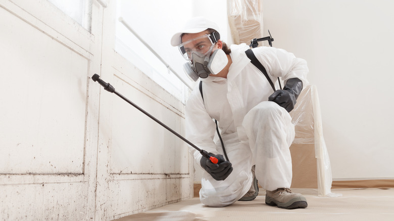 mold remediation technician working on wall