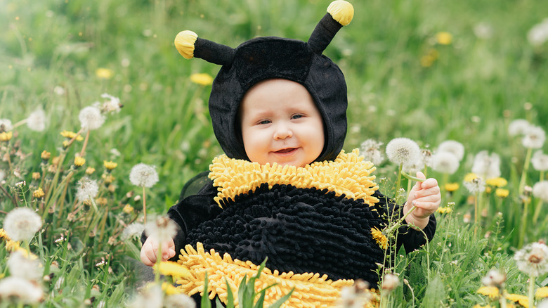 Baby in a bumble bee costume sitting in a field of dandelions
