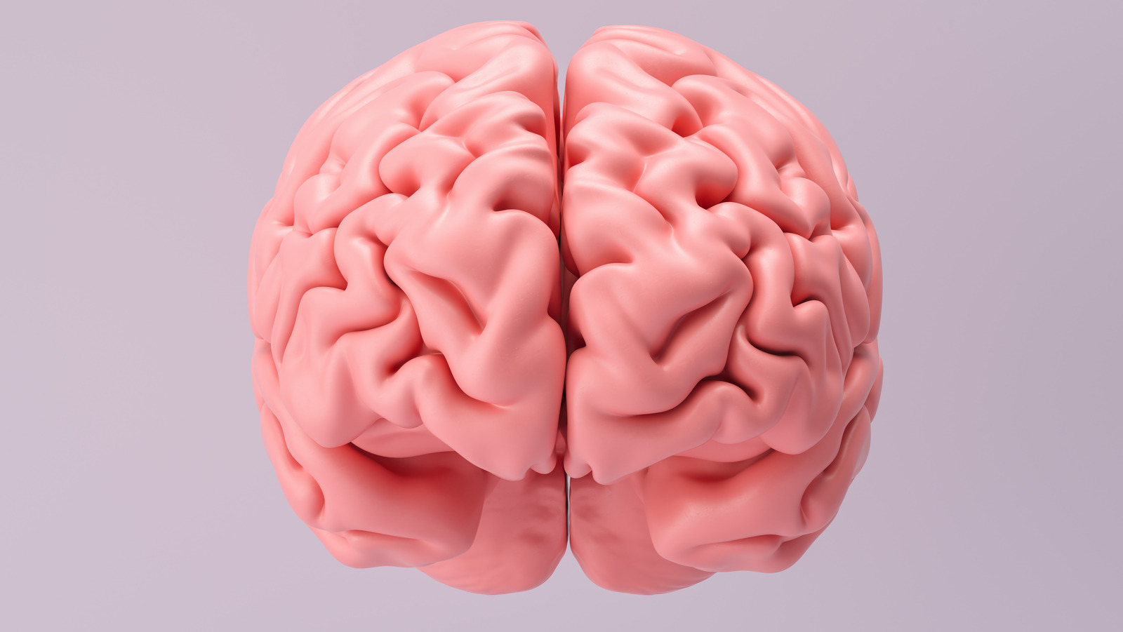 Diferencia entre mente y cerebro