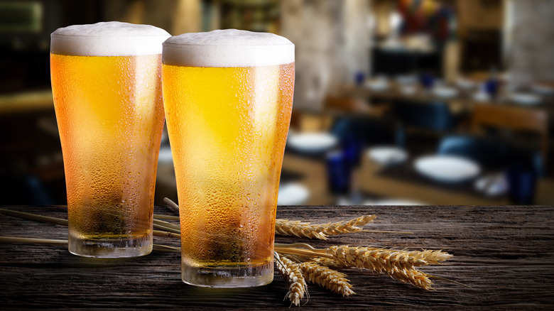 Two pints of light beer next to pieces of wheat