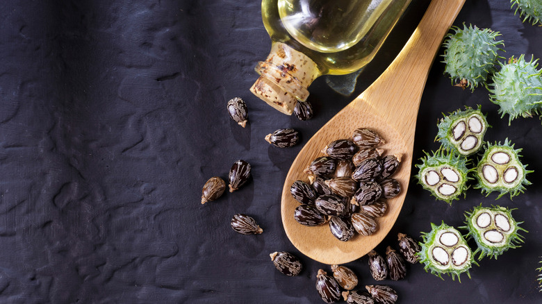 castor oil, beans, plant on table