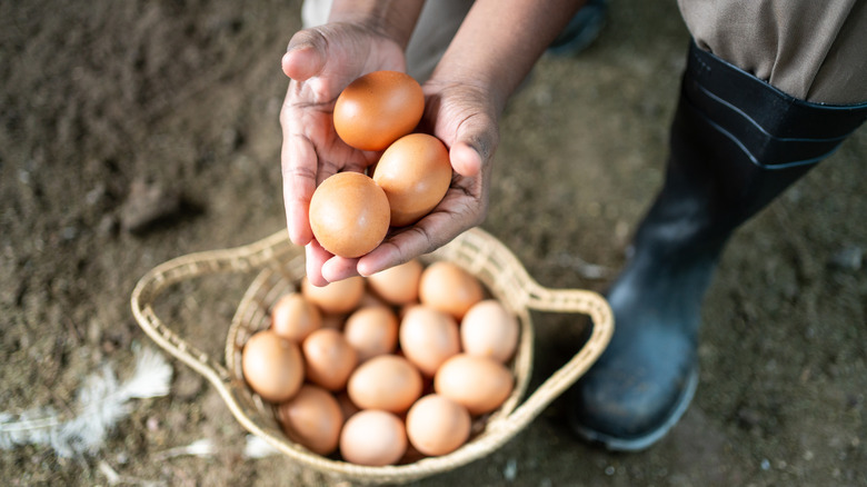 Farm-fresh eggs