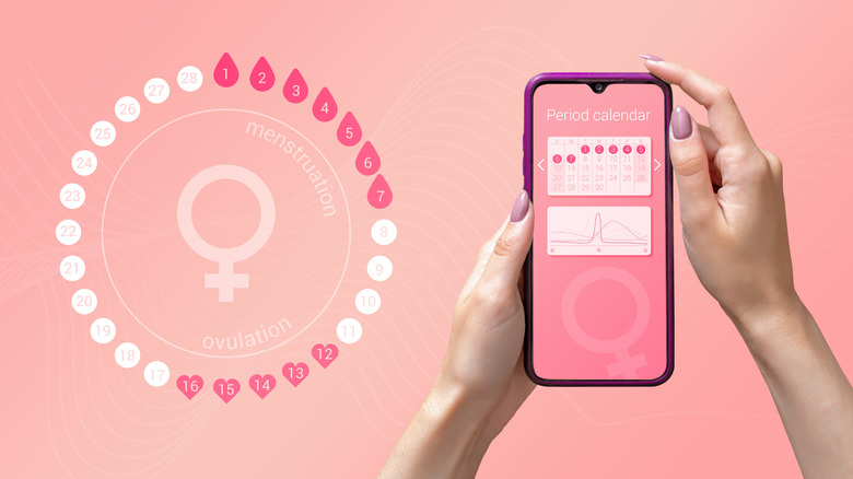 menstrual cycle app