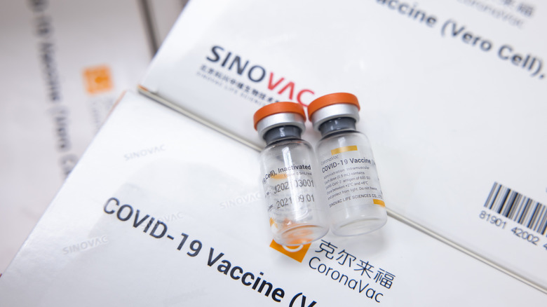 Two bottles of the Sinovac vaccine