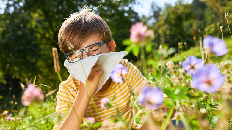 A boy sneezing by flowers