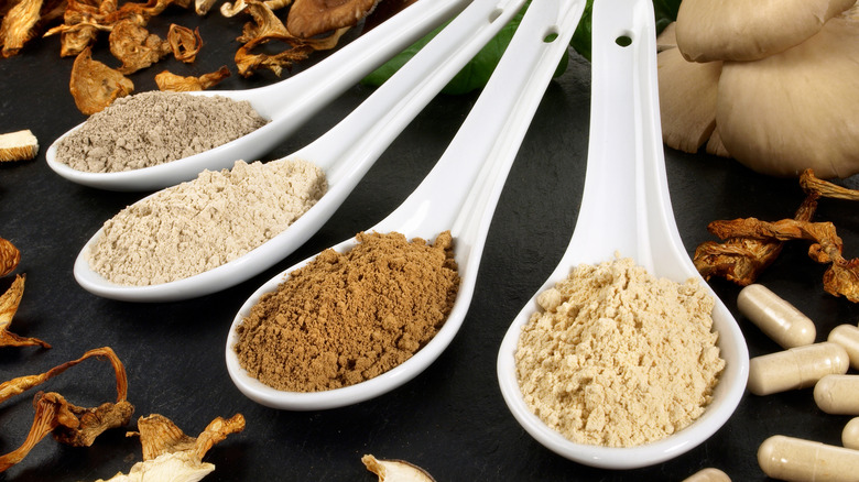 mushroom powders in four spoons
