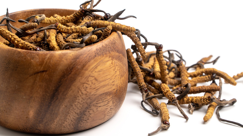 cordyceps mushroom caterpillars in bowl