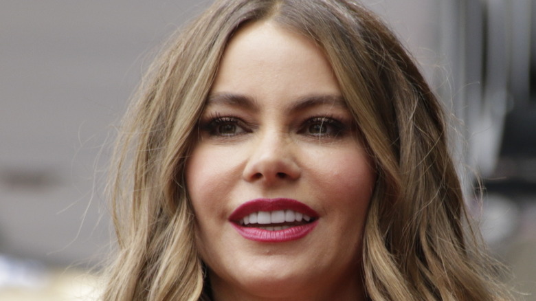 Close-up of Sofia Vergara