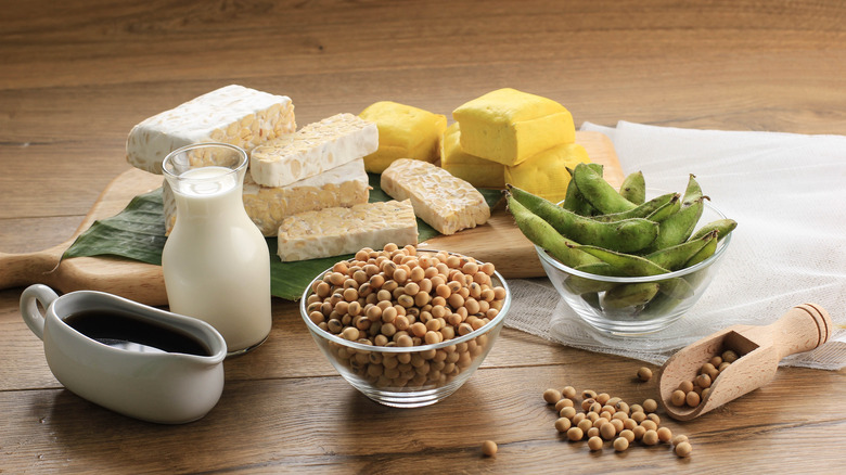 soy milk, edamame, tofu, soybean, tempeh, and soy sauce