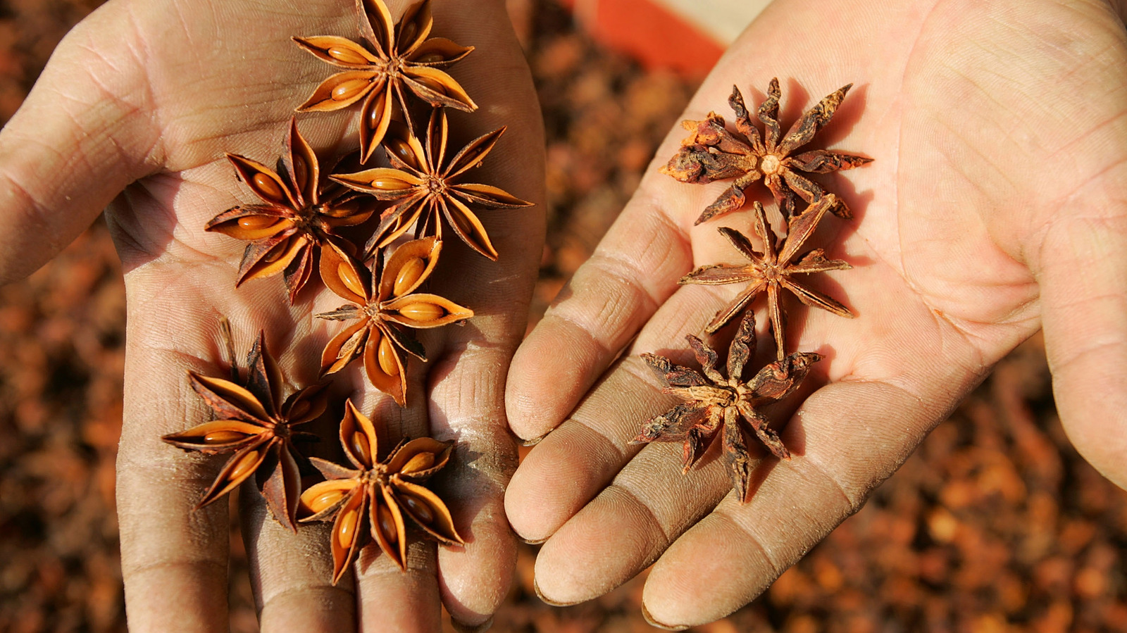 Star Anise Could Be The Secret To Sound Sleep