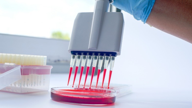 blood work lab