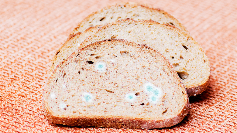 moldy bread loaf