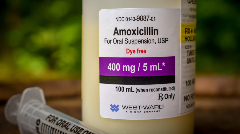 a viall of liquid amoxicillin