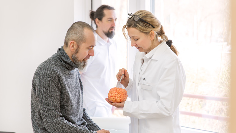 doctor showing a patient a brain model