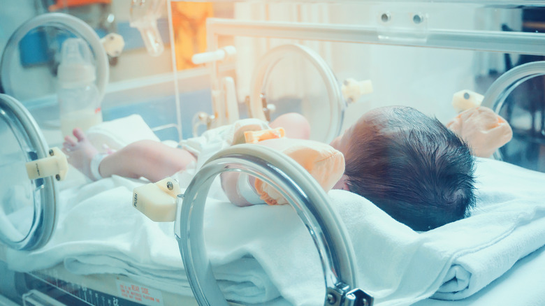 Premature newborn in incubator