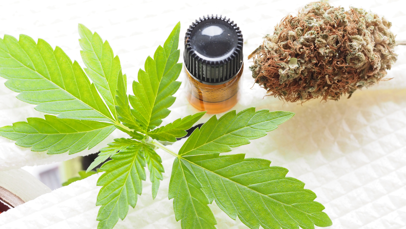Study Reveals The Startling Rate At Which Teenagers Are Becoming Addicted To Marijuana