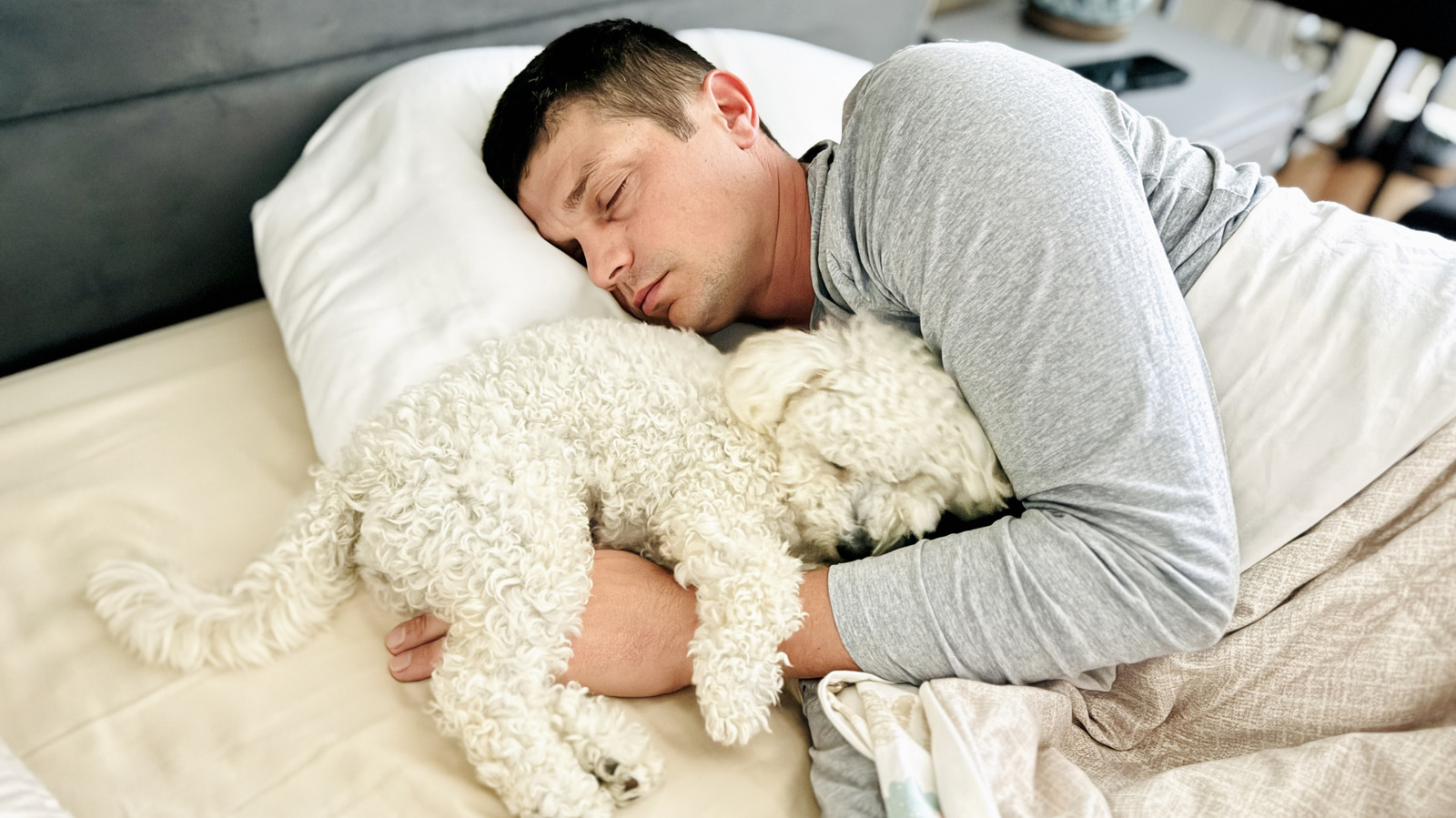 <a href="https://www.healthdigest.com/2282186/study-says-dogs-help-you-sleep-better-owners-disagree/" target="_blank">Study Says Dogs Don’t Disturb Sleep. Owners Would Like A Word.</a>