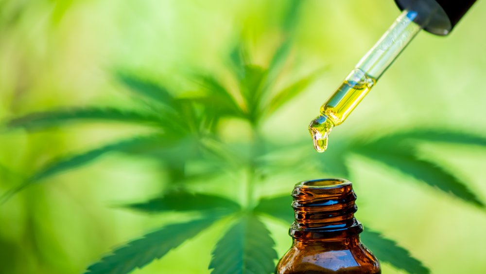 CBD oil