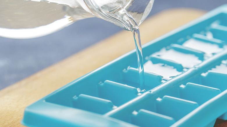 refilling an ice cube tray 