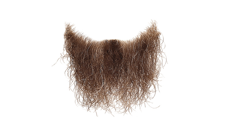 Beard on white background